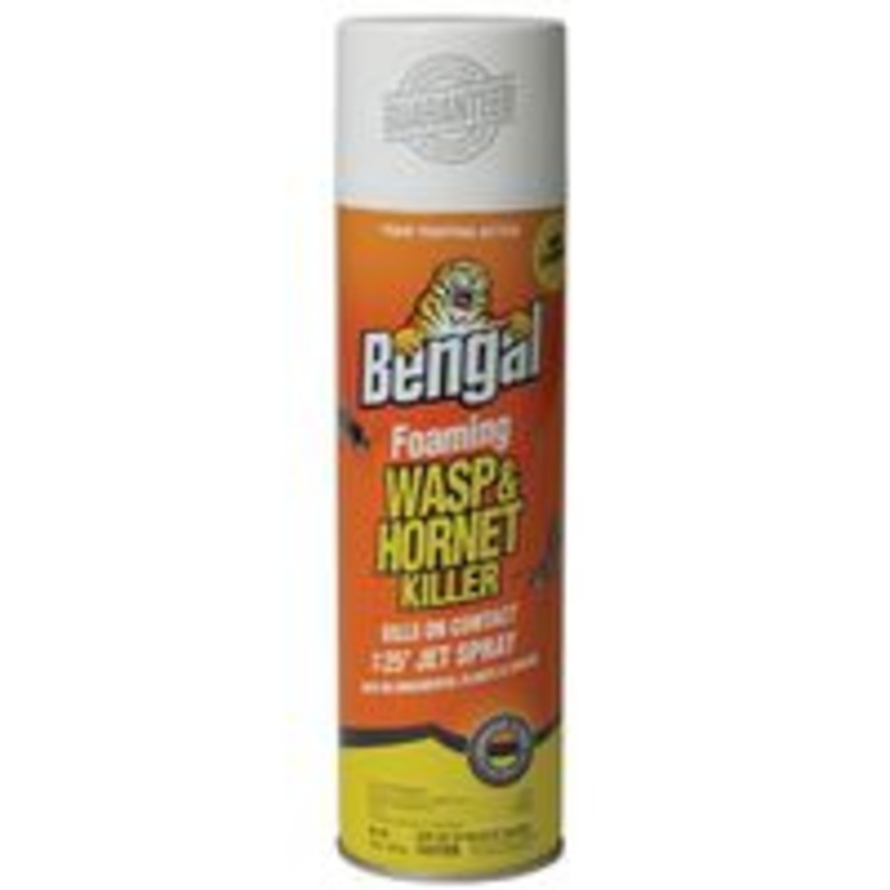 Foam Wasp and Hornet Killer, 18 oz
