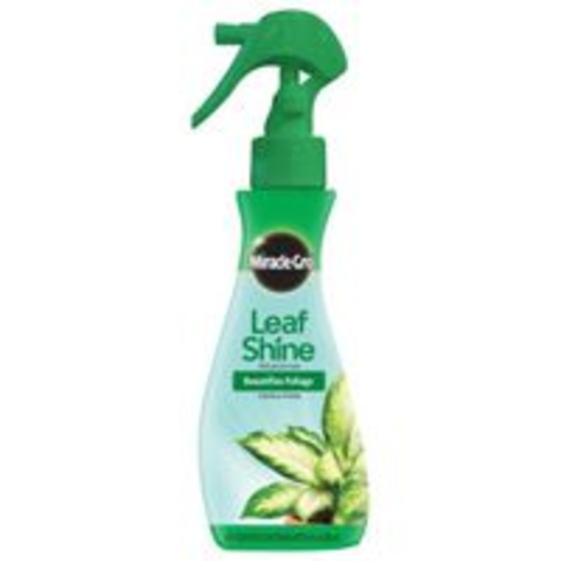 Food Leaf Shine, 8 oz.