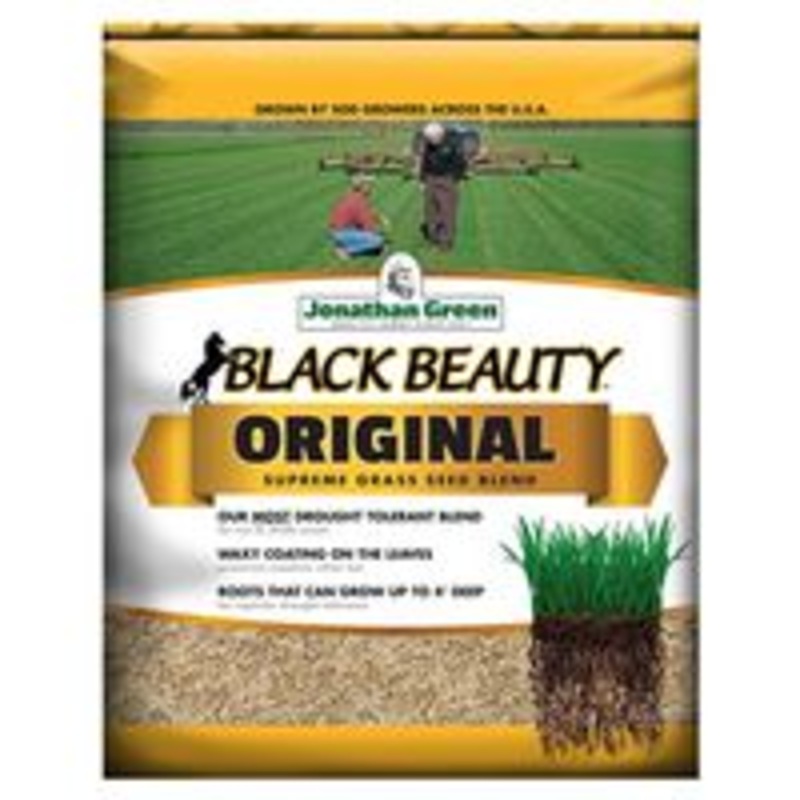 Grass Seed Blend – 50 lb