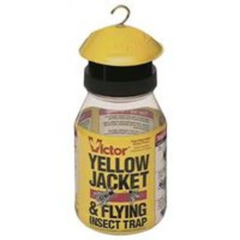 QT Yellow Jacket Trap and Bait