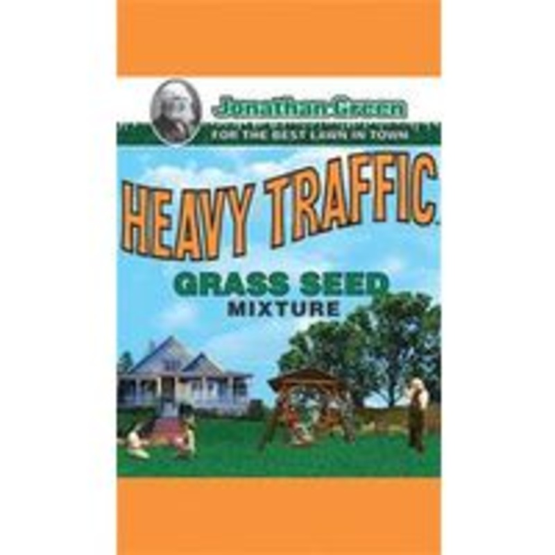 Seed Grass for Heavy Traffic Areas