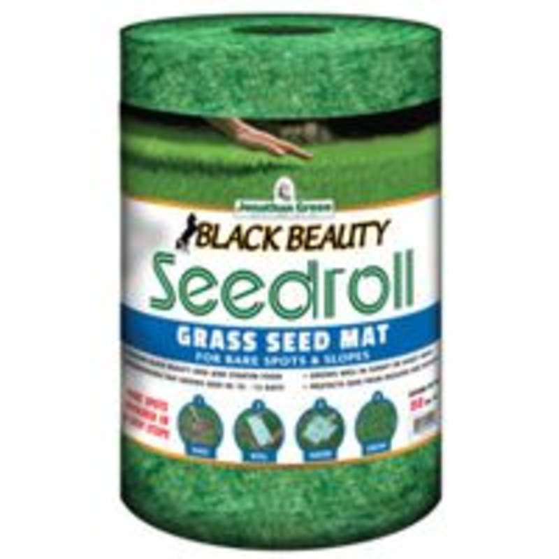 Seed Grass Roll – 50 sq ft