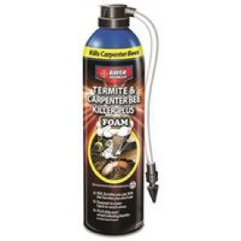 18 oz Termite and Bee Foam (1.13 lbs)