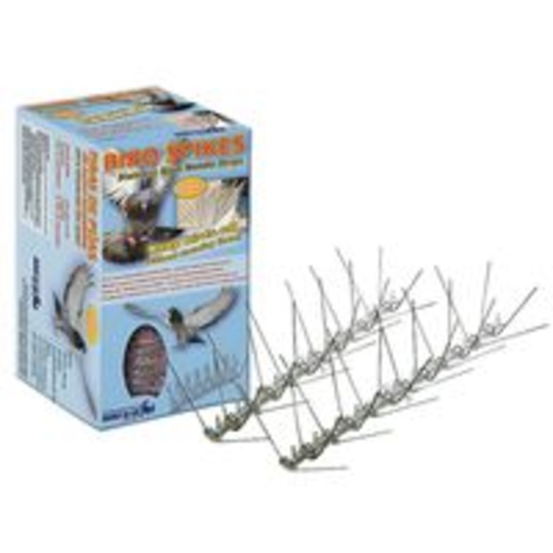 Spikes Bird Stainless Steel Bird Feeder