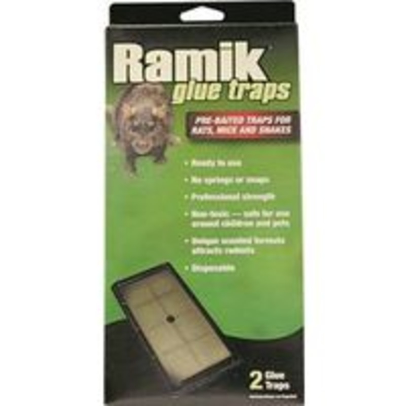 Tray Rat Glue Traps – 2 Pack