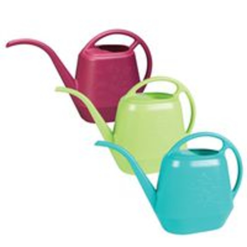 56 oz Bright Watering Can – 12 Pack