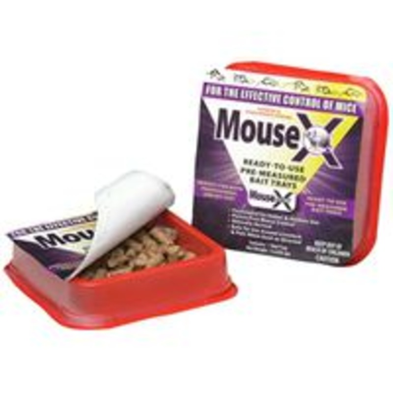 Tray Bait Mouse – 2 Pack