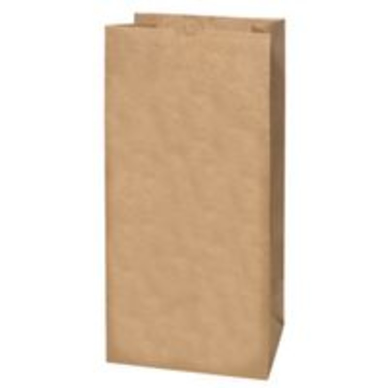 2-Ply Lawn and Leaf Bags, 5 Count