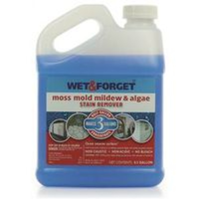 1/2 Gallon Wet and Forget Remover (4.34 lbs)