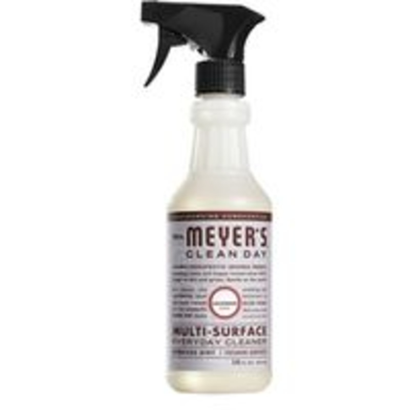 Cleaner Lav Multi-Surface Cleaner