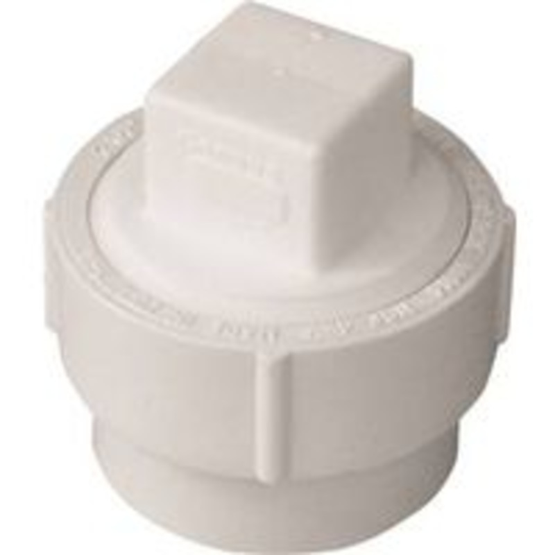 2-Inch Cleanout and Plug