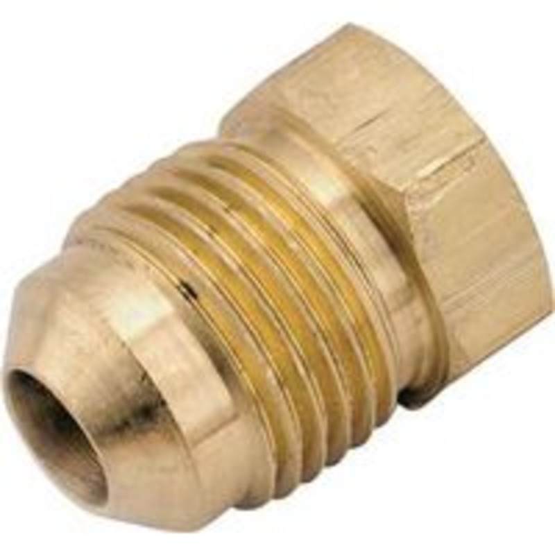 1/2 Brass Female Plug
