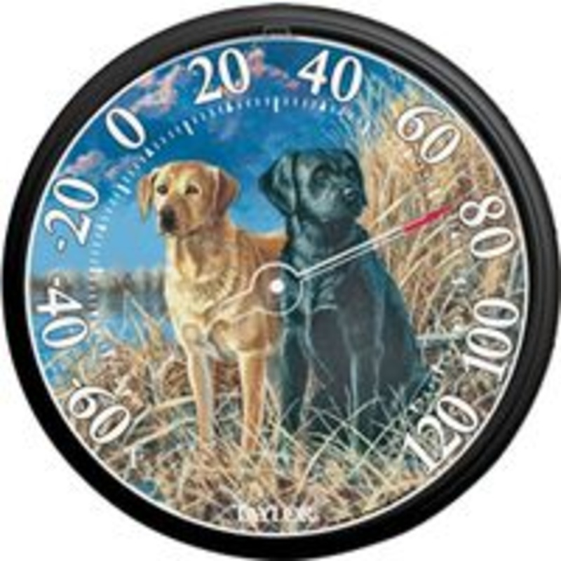 13.5 Labs Outdoor Thermometer