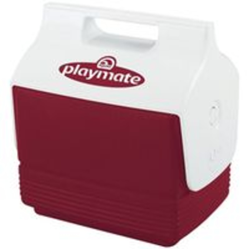 Cooler Mini for 6-12 oz Cans – Holds 4 Cans