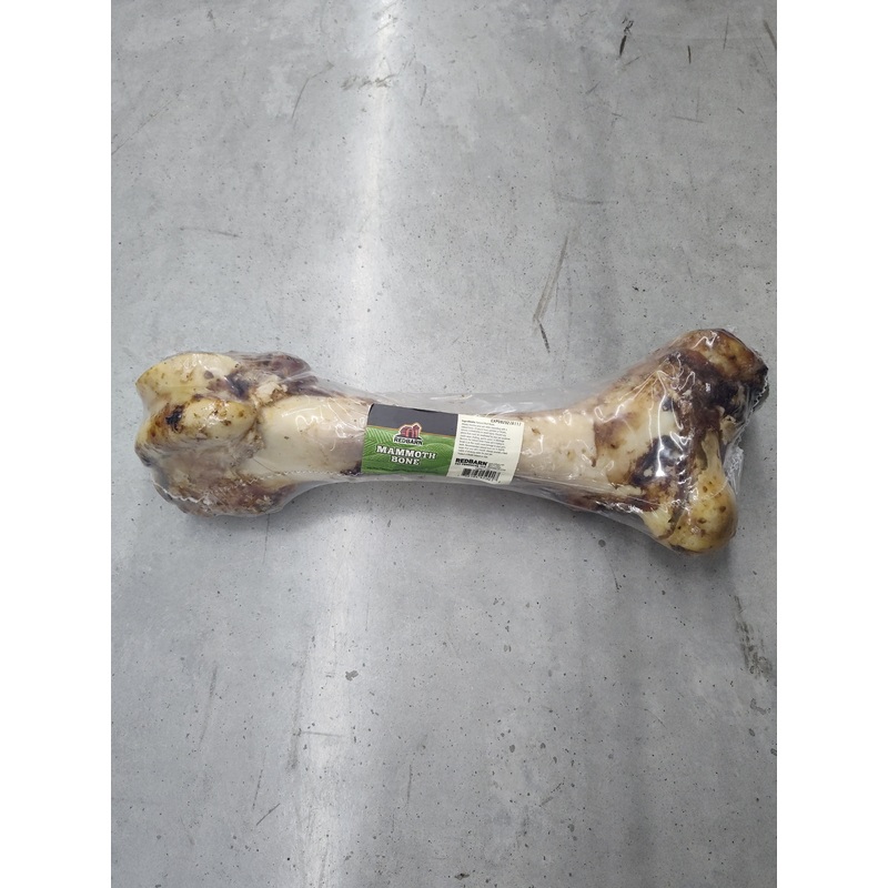 Mammoth Bone Pet Treat