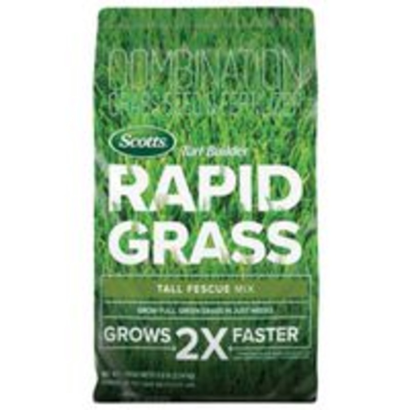 18228 Seed Grass Tall Fescue