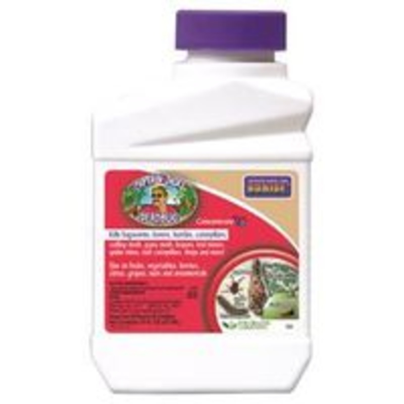 Brew Dead Bug Concentrate