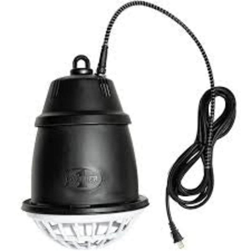Premier Heat Lamp for Animal Health