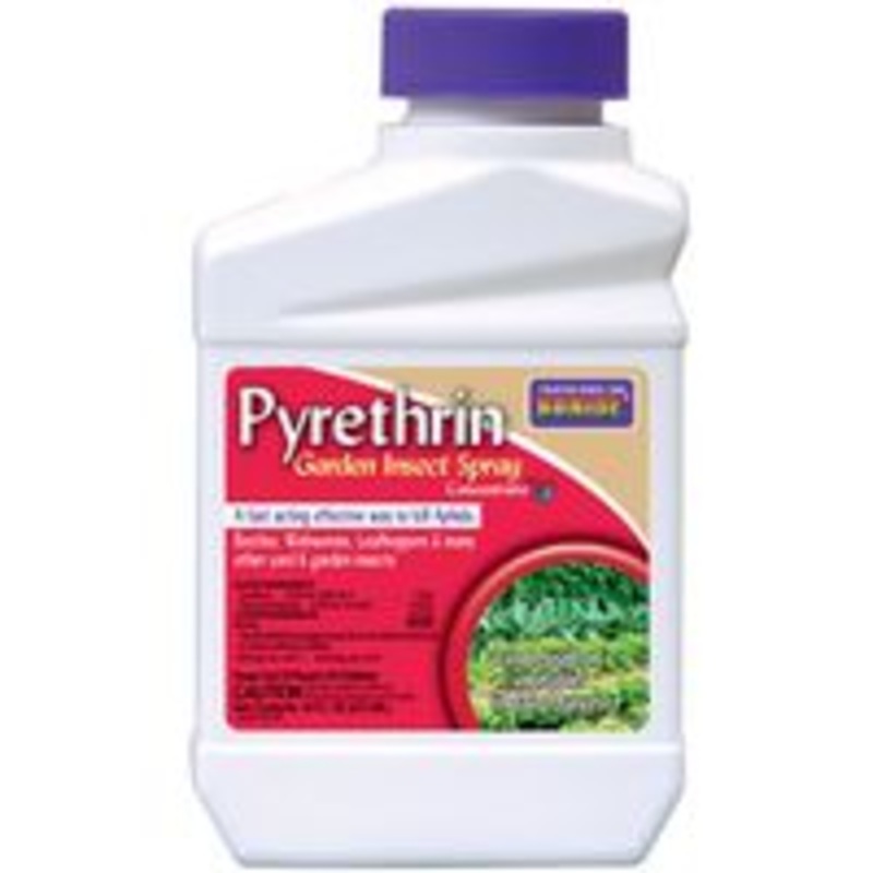 Pyrethrin Concentrate Insecticide