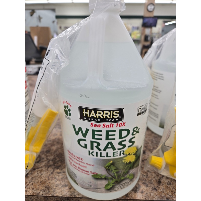 Sea Salt Weed Killer, 1 Gallon