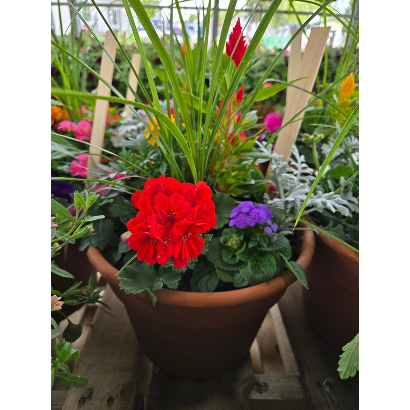 10 Large Combination Pot