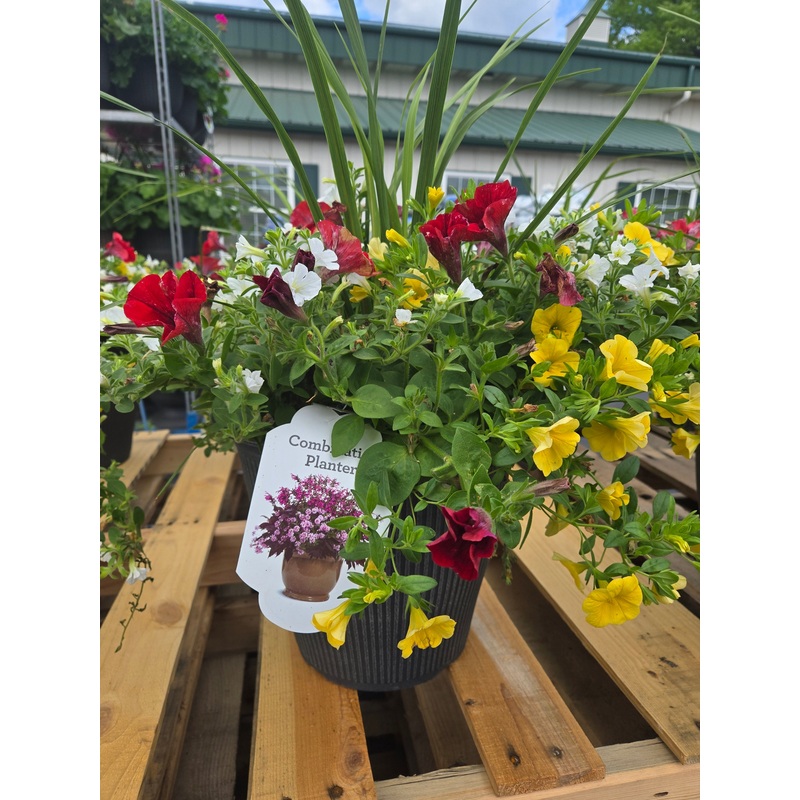 12-Inch Planter Pot for Live Plants