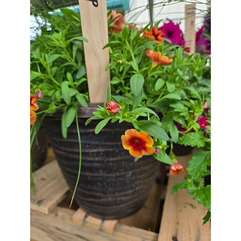12-Inch Round Dune Planter
