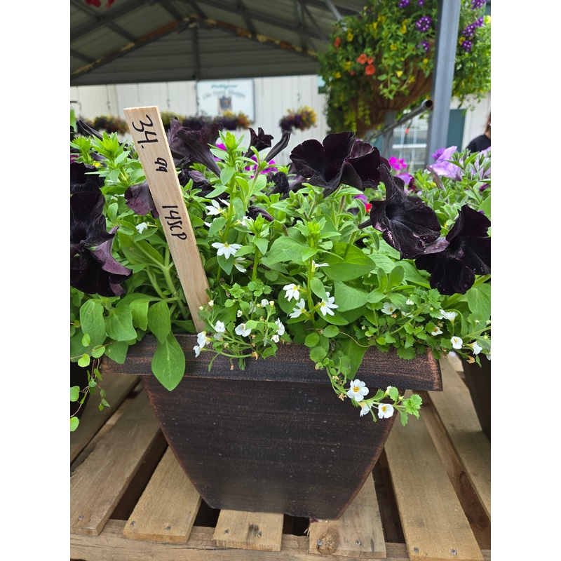 14-Inch Square Cove Planter