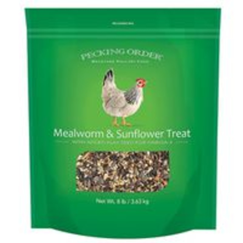 Treat for Chicken Mealworms with Sunflower