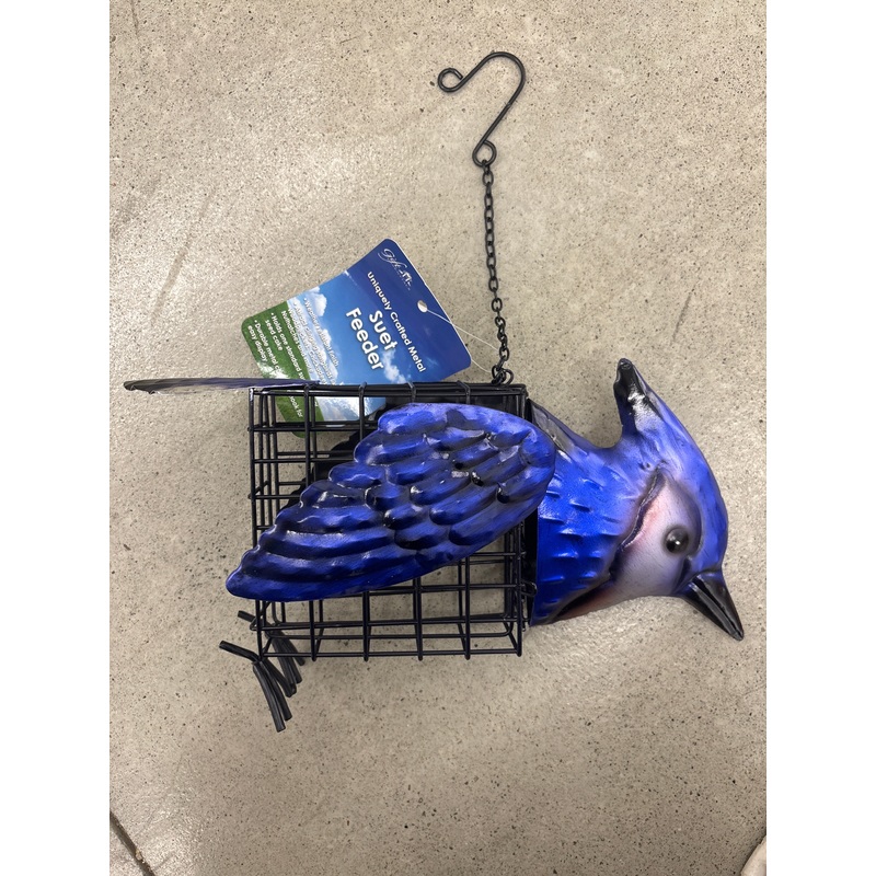 Blue Jay Suet Feeder
