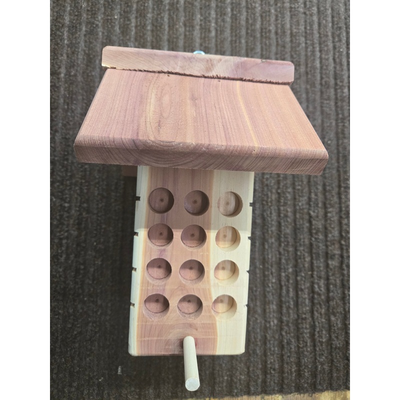 Peanut Butter and Suet Plug Feeder