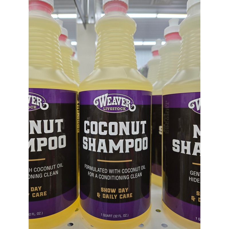 Qt Coconut Shampoo