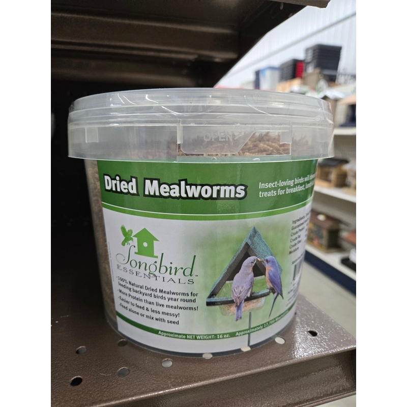 16 oz Tub of Mealworms for Wild Birds