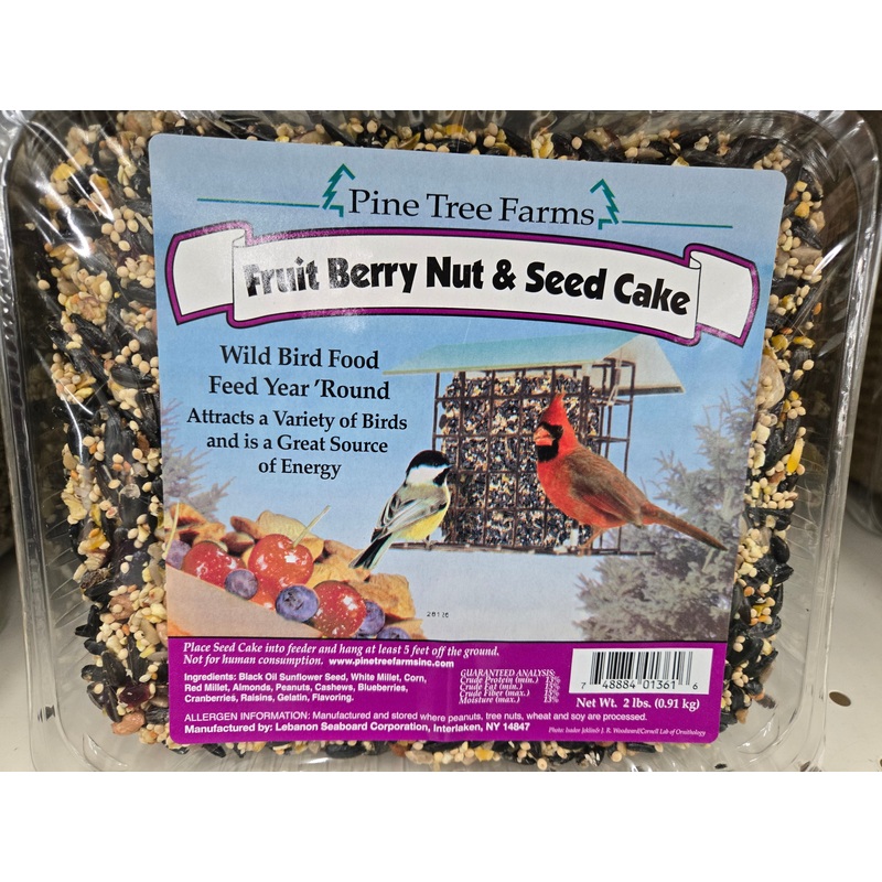Fruit Berry Nut and Seed Cake for Wild Birds