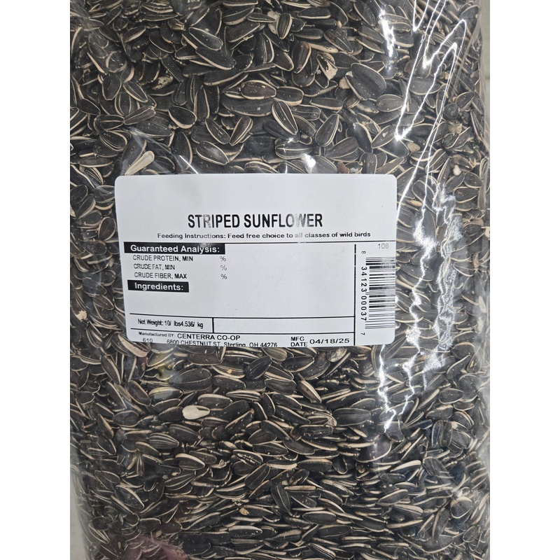10 lb Striped Sunflower Seeds (10 lbs)