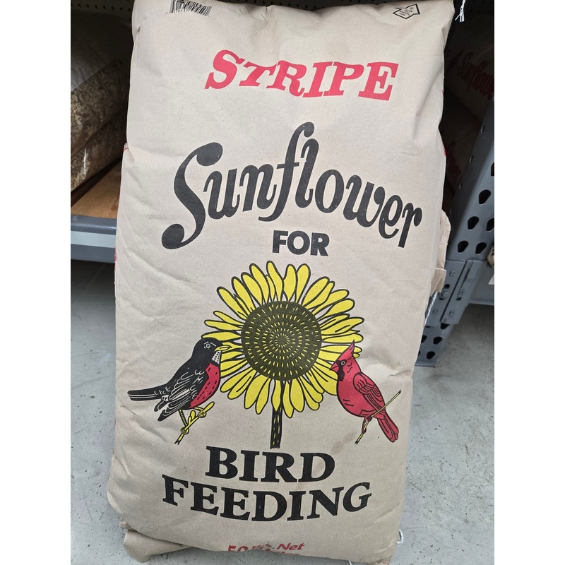 50 lb Striped Sunflower Seeds (50 lbs)
