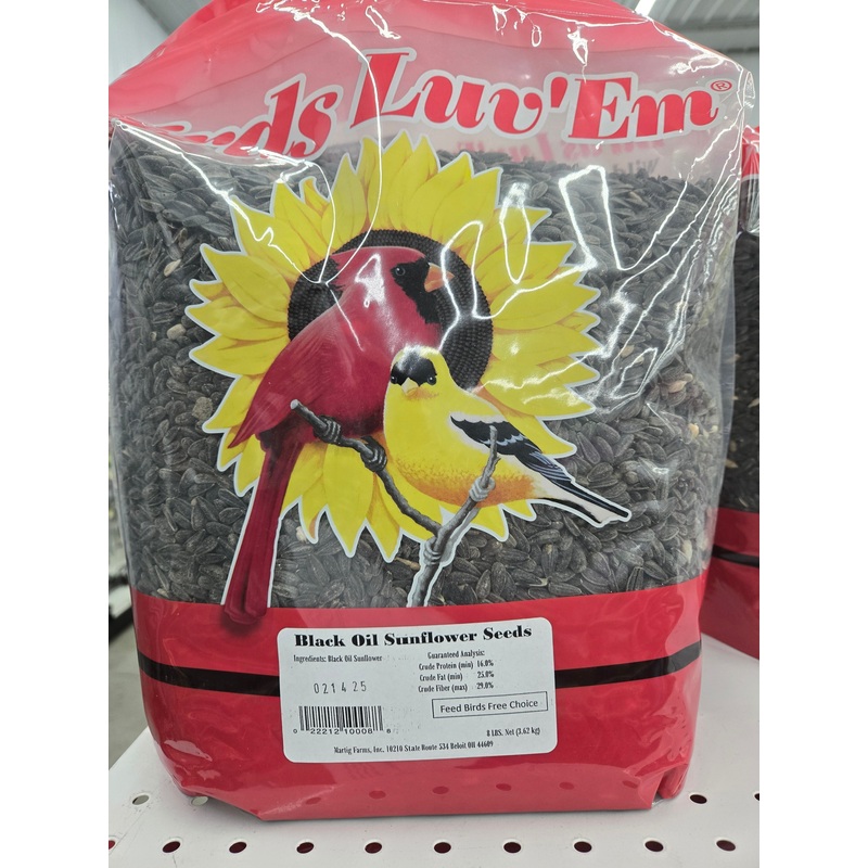 8 lb Oil Sunflower Seeds (8 lbs)