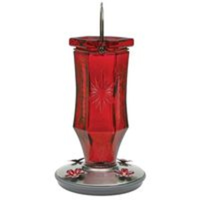 Feeder Ruby Starburst Bird Feeder