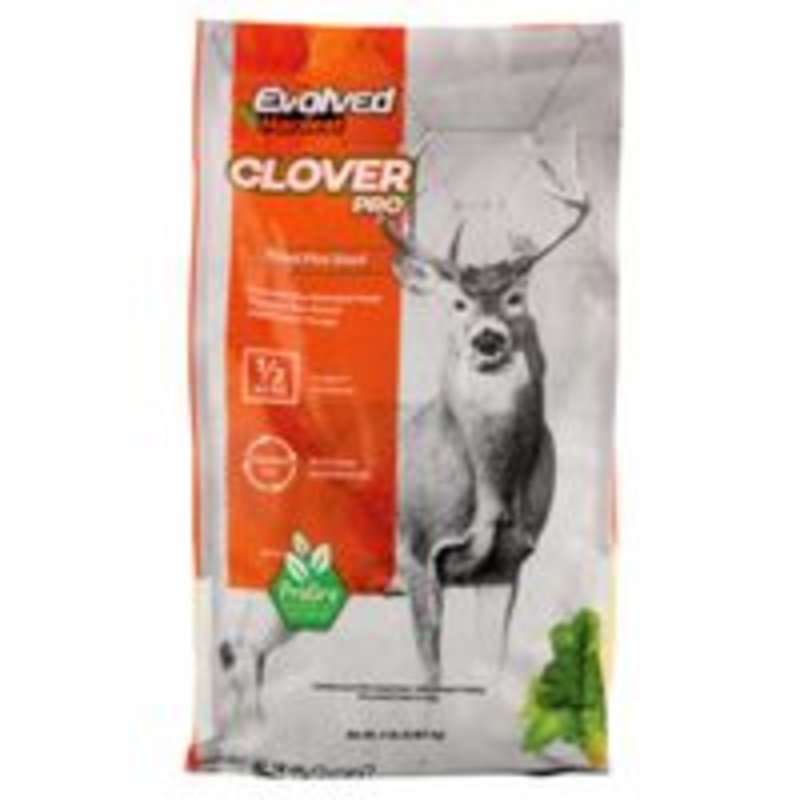 Clover Food Plot Seed – 2 lb