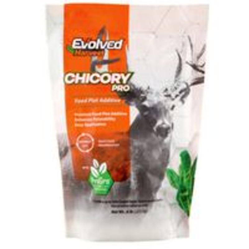 Food Plot Mixer Chicory 1 lb